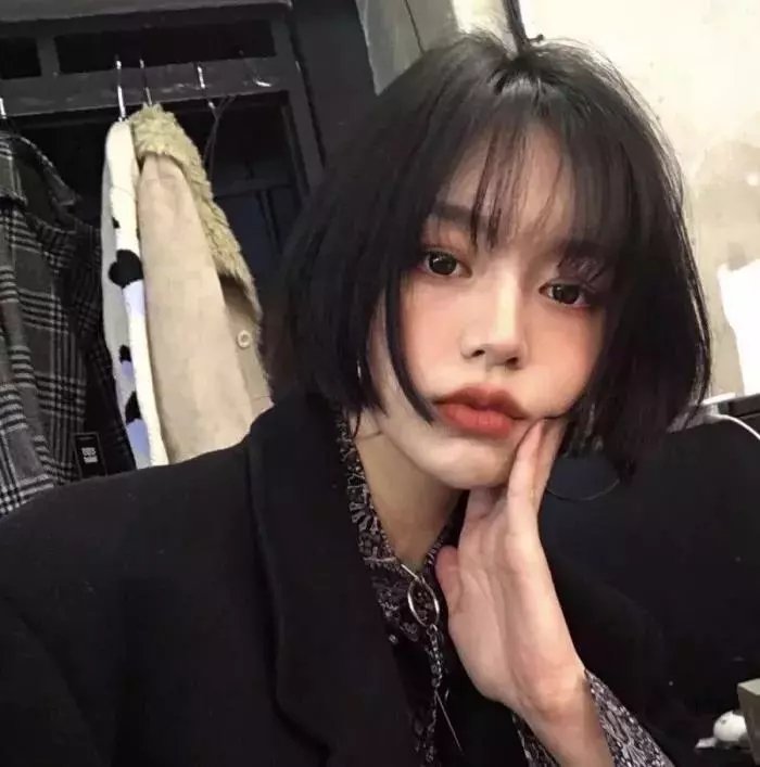 母性之光 高清封面